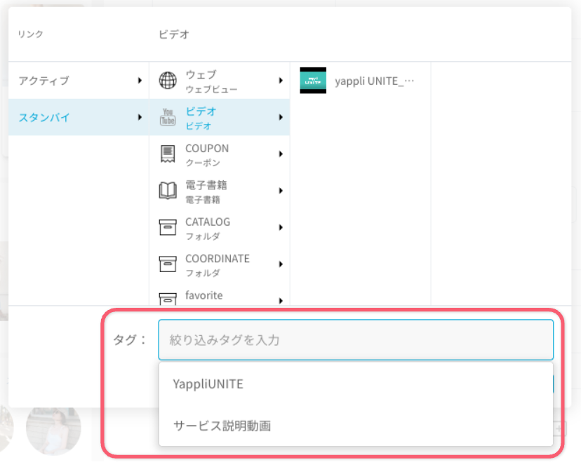 3-タグを設定する - ビデオ機能.png
