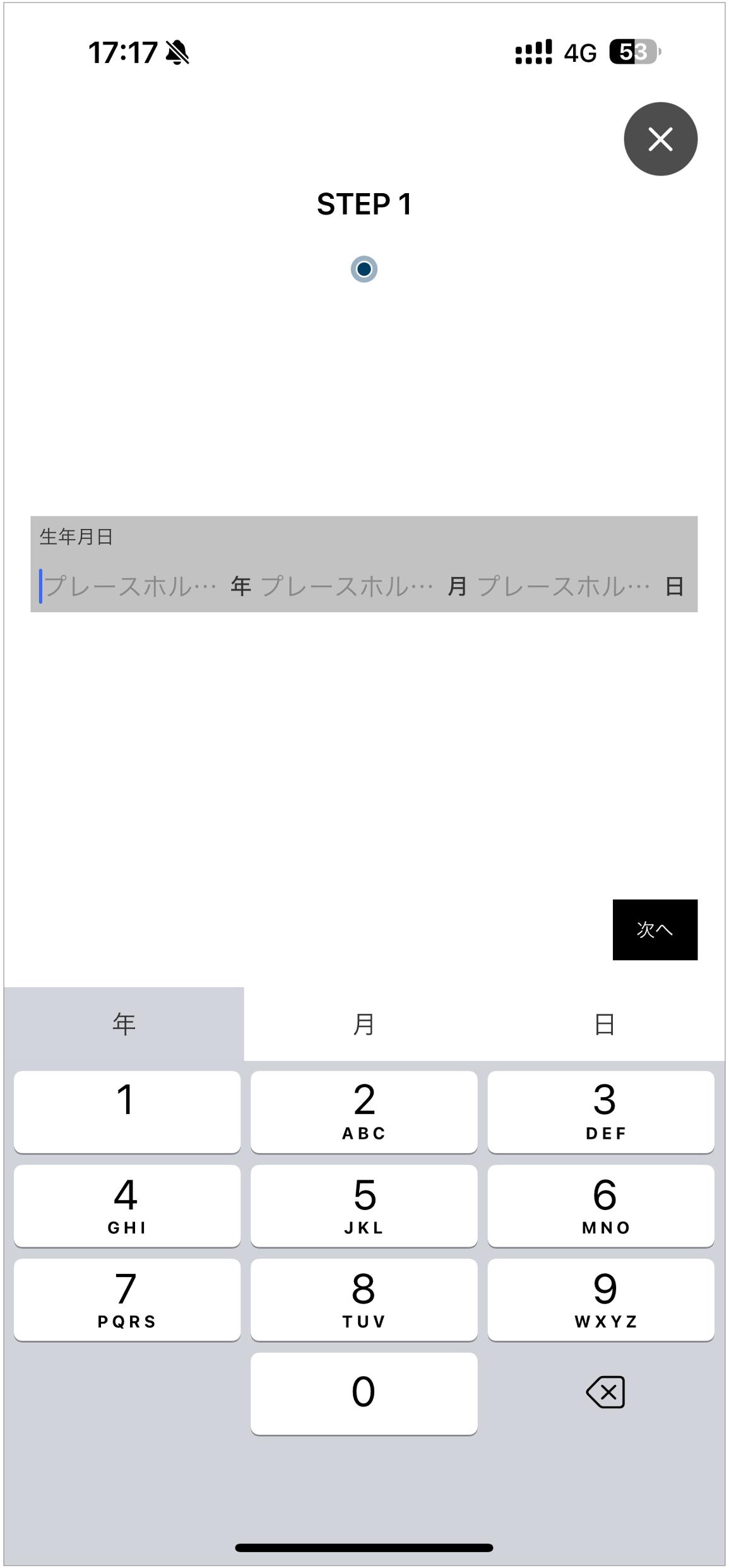生年月日フィールド.png
